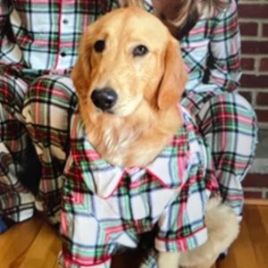 Dog Pajamas by Wondershop @ Target   Size XL